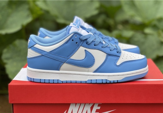 Nike Dunk Low DD1391 102 36-46